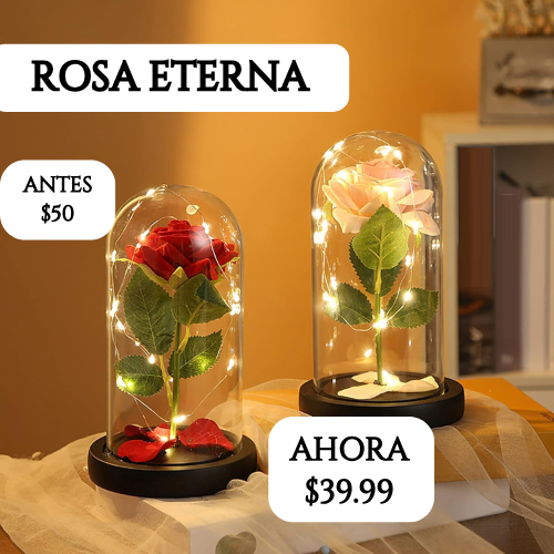 FLOR ETERNA